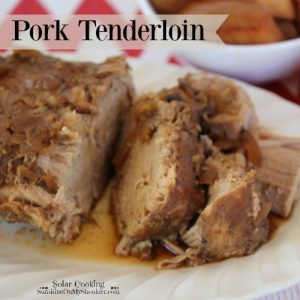 Pork Tenderloin recipe for solar cooking