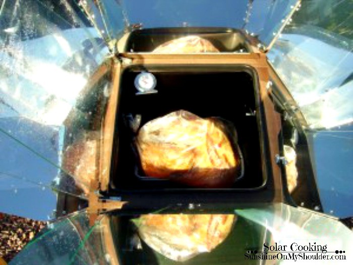 turkey cooked in solar oven