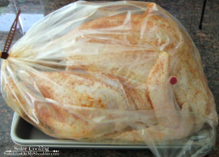 turkey in cooking bag for the solar oven