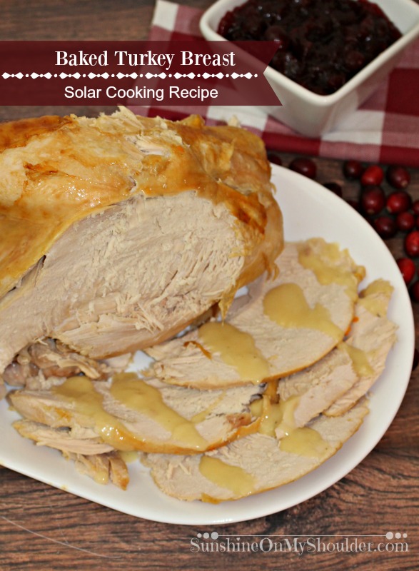 Solar baked Turkey Breast