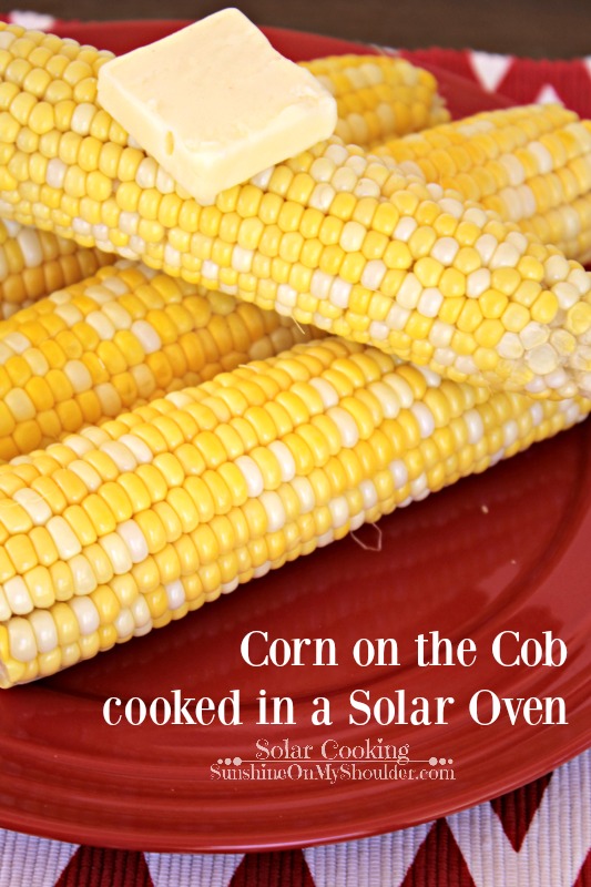 Corn on the cob cooked in a solar oven