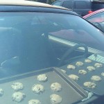 Solar Cooking on the Car Dashboard