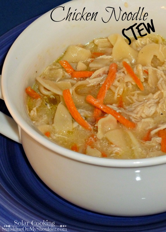 chicken noodle stew