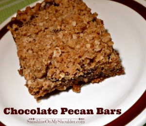 Chocolate Pecan Bar Solar oven Dessert Recipes