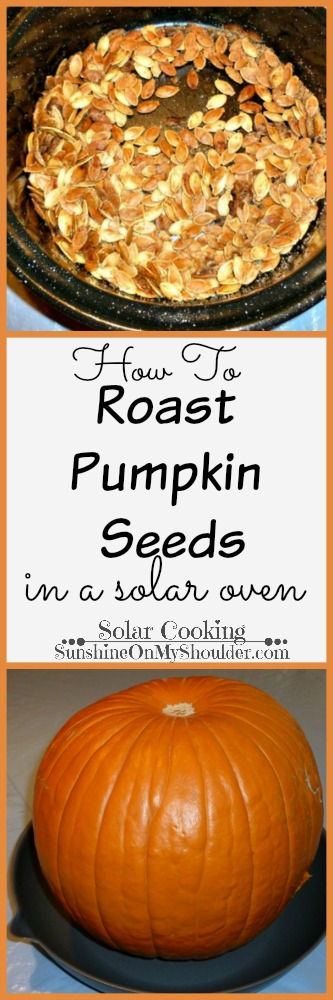 Roasted Pumpkin Seeds in a solar oven, solar cooking.