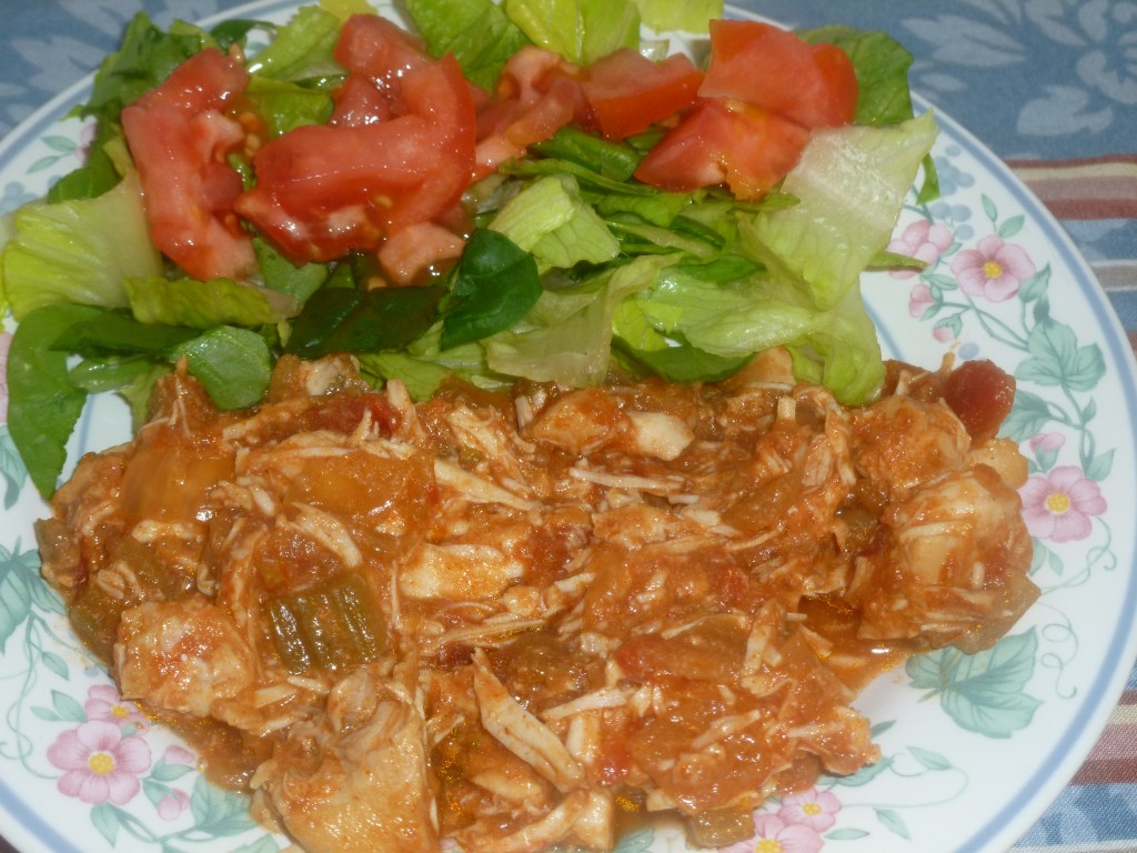 Southwestern Salsa Chicken and salad
