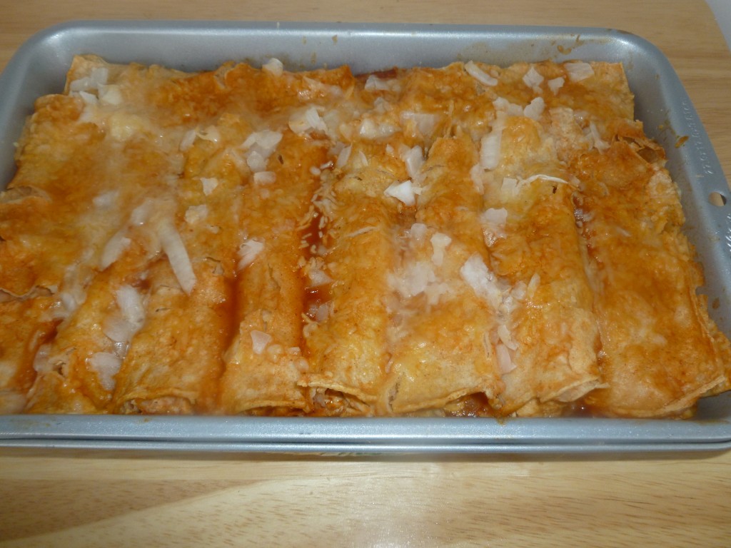 Solar oven chicken enchiladas