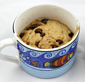 solar oven chocolate chip cookie