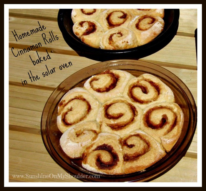 Homemade cinnamon rolls baked in a solar oven