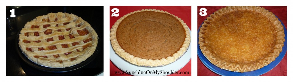 image of pies baked in a solar oven