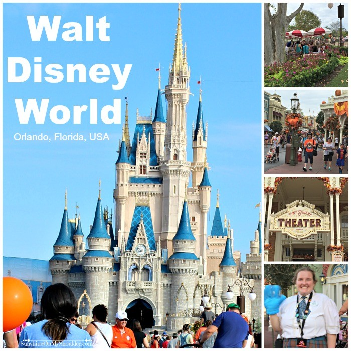 Disney World Main Street and Castle