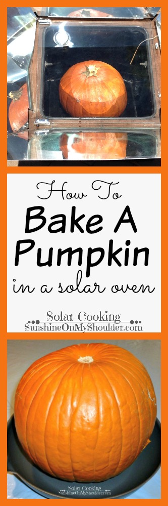 Baked Pumpkin in a solar oven, solar cooking