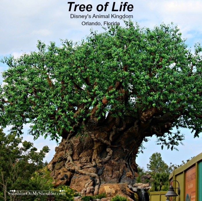 Tree of Life Disney's Animal Kingdom