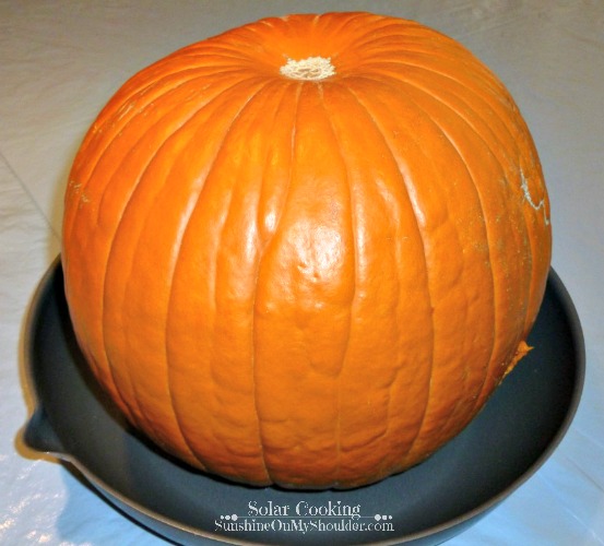 Whole Pumpkin for solar cooking recipe