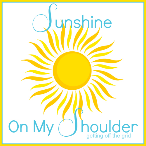 https://www.sunshineonmyshoulder.com/wp-content/uploads/2016/03/SOMS-button-500.jpg