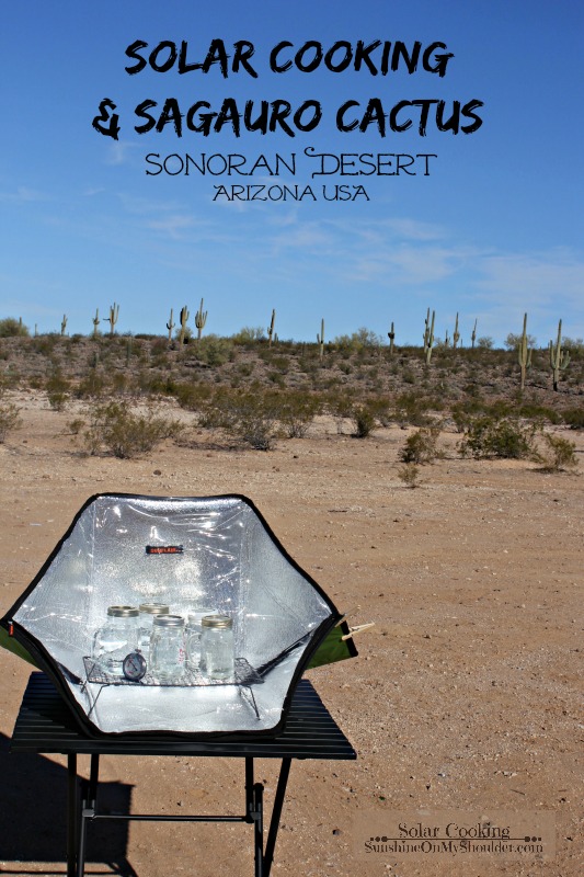 Solar cooking in the Sonoran Desert Arizona