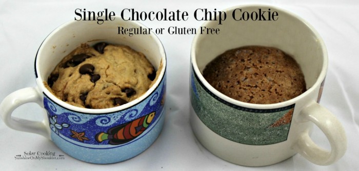 Single Chocolate Chip Cookie solar cooking recipe