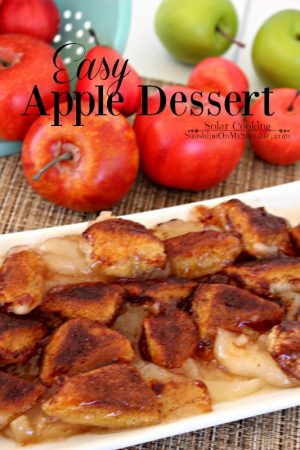 Easy Apple Dessert Recipe For Solar Oven Cooking