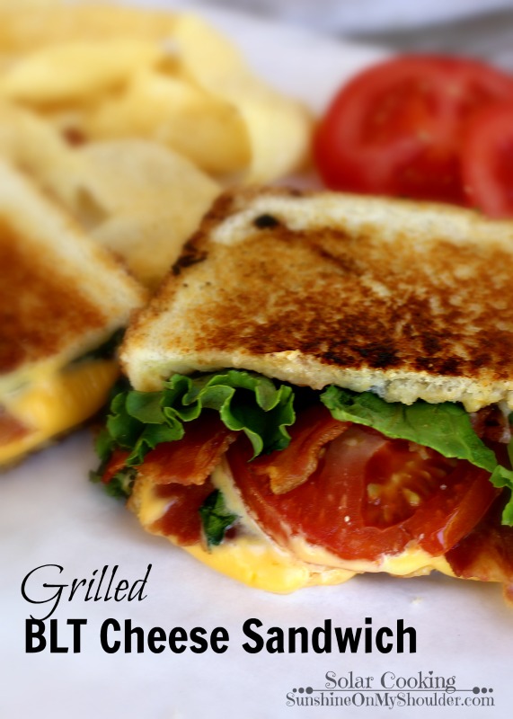 BLT Grilled Cheese Sandwich solar cooking recipe