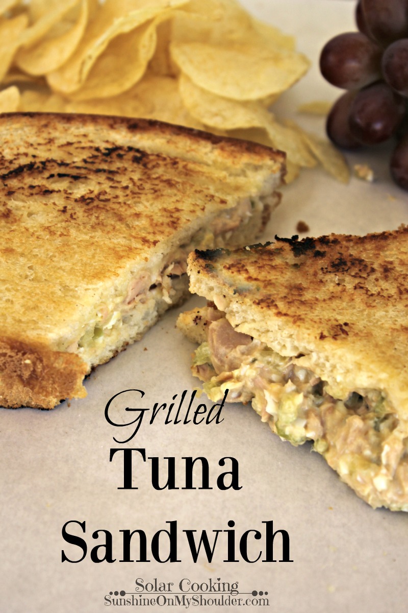 Grilled Tuna Sandwich solar cooking