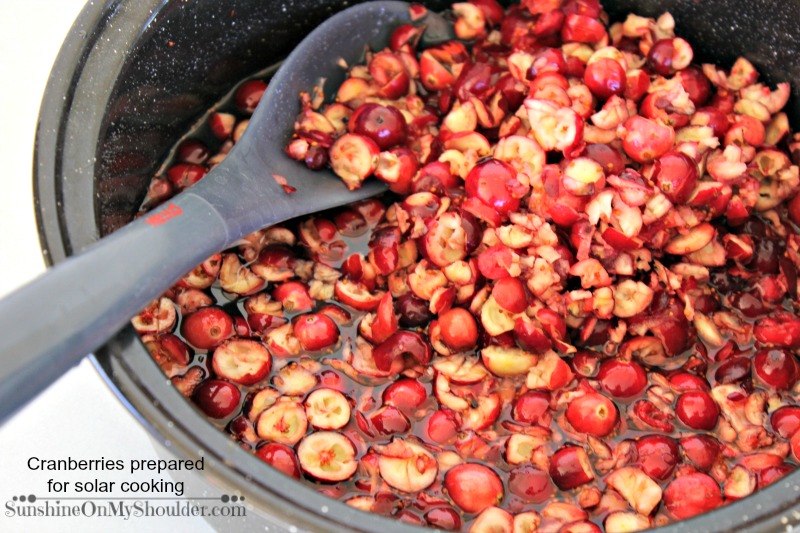 Homemade Cranberry Sauce being prepared to cook in a solar oven