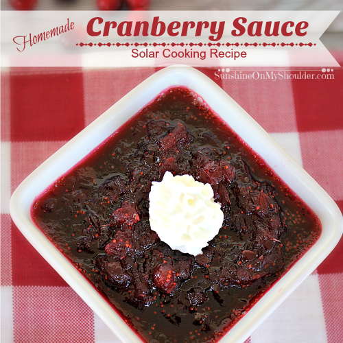 Homemade Cranberry Sauce cooked in a solar oven