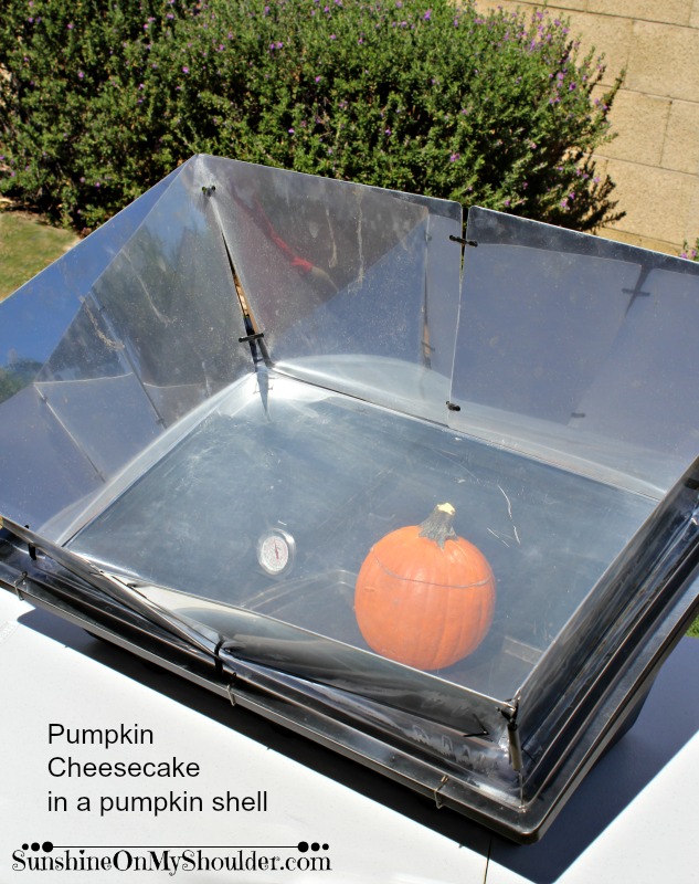Pumpkin Cheesecake in a pumpkin shell baked in a solar oven.